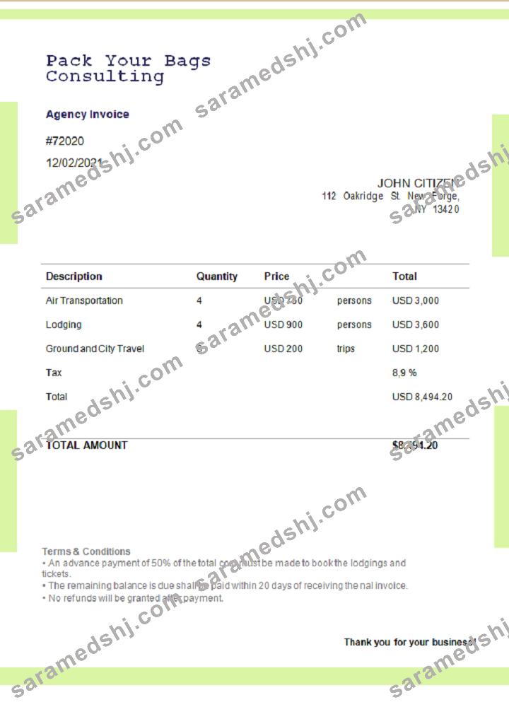 USA Pack Your Bags Consulting invoice